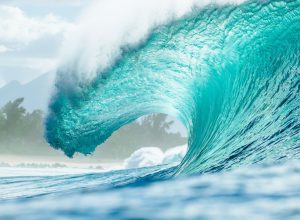 wave_pipe22_tyh8464_heff.jpg